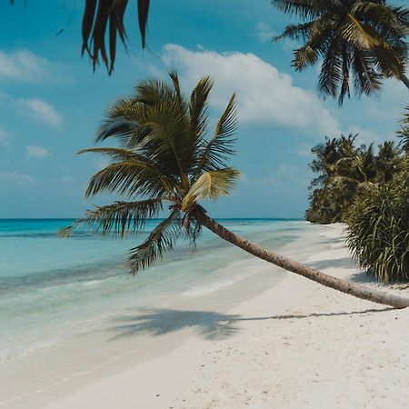 Muraka Dhigurah ディグラ エクステリア 写真